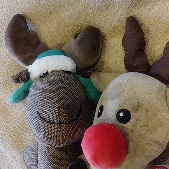 2 Dog squicky toys NWT - Picture 3 of 4